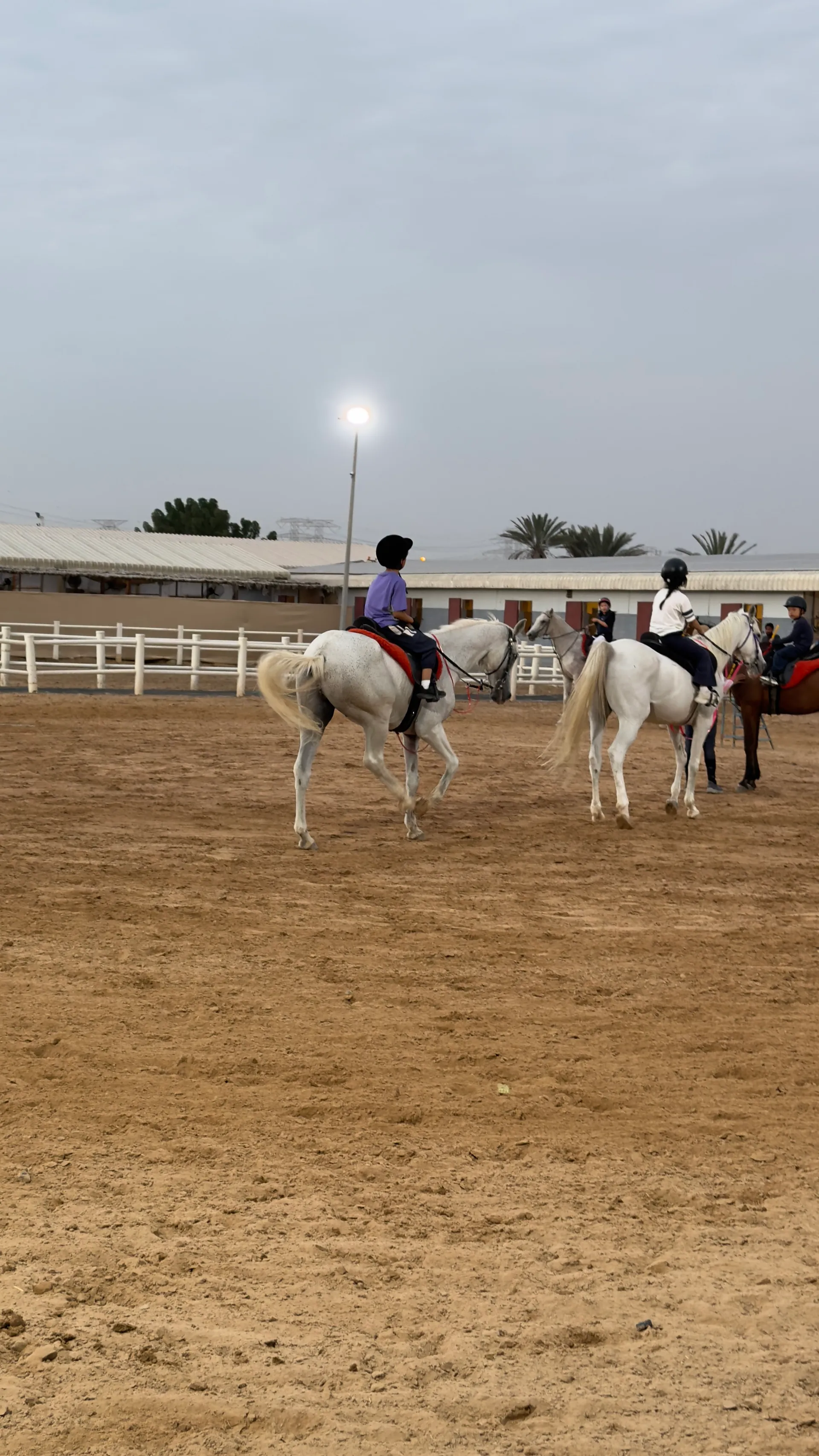Children riding in the arena