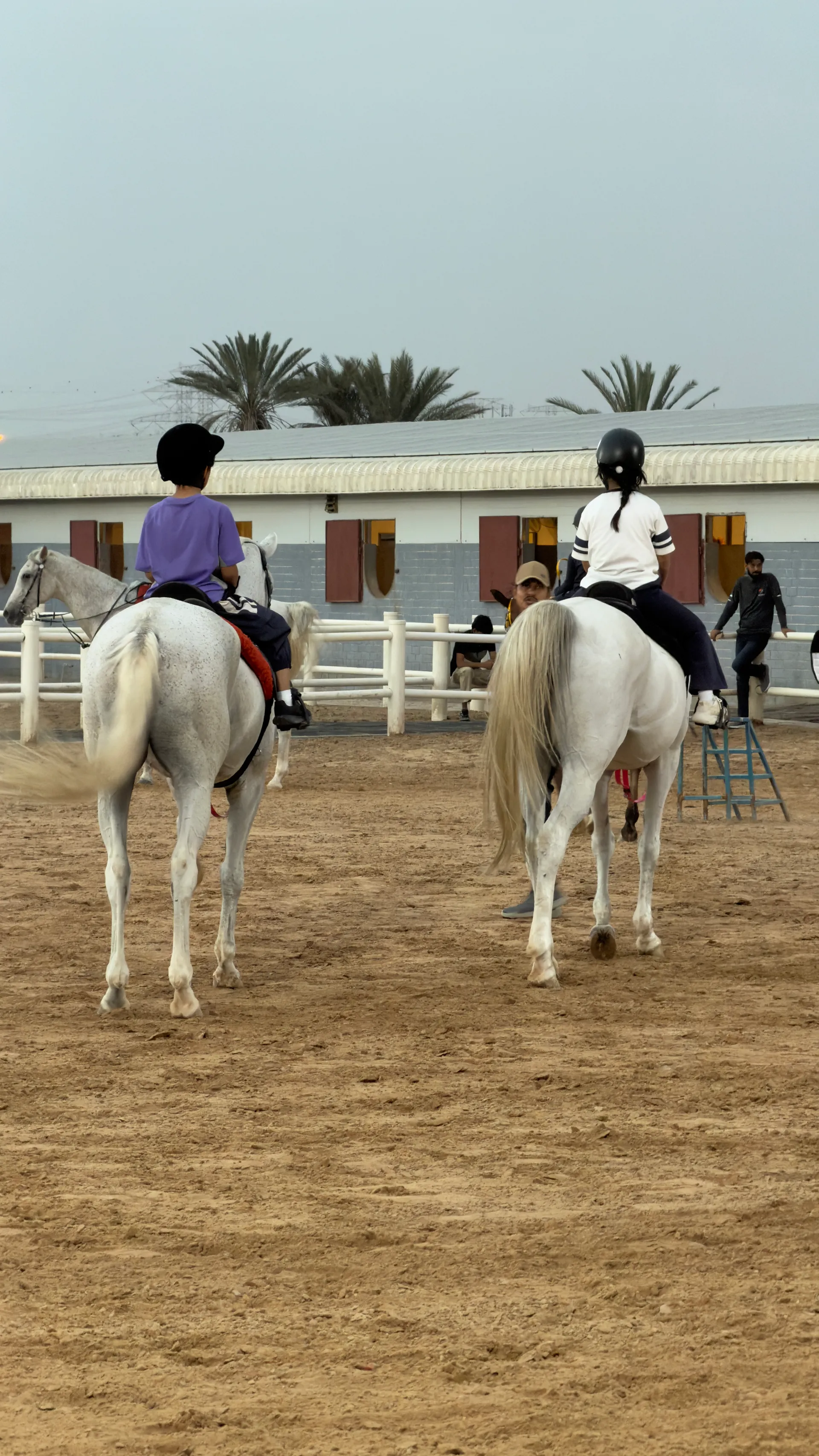 Arena lesson at JSR