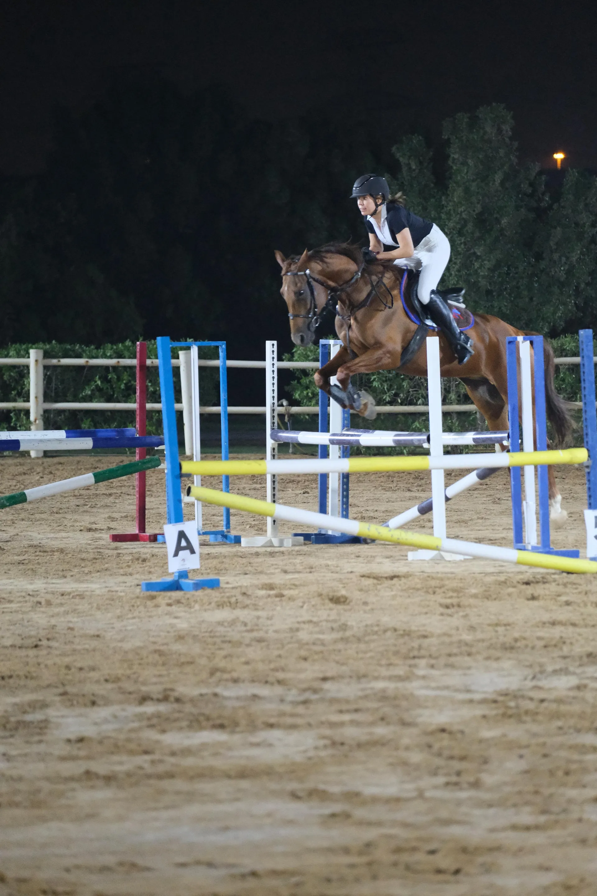 Group lesson in the arena