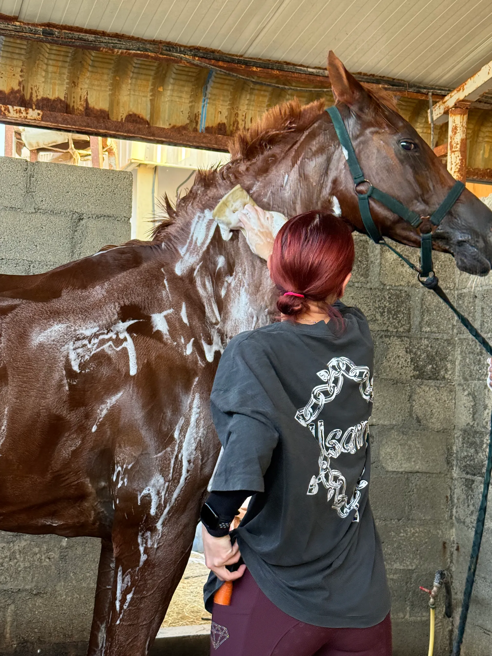 Evening arena session