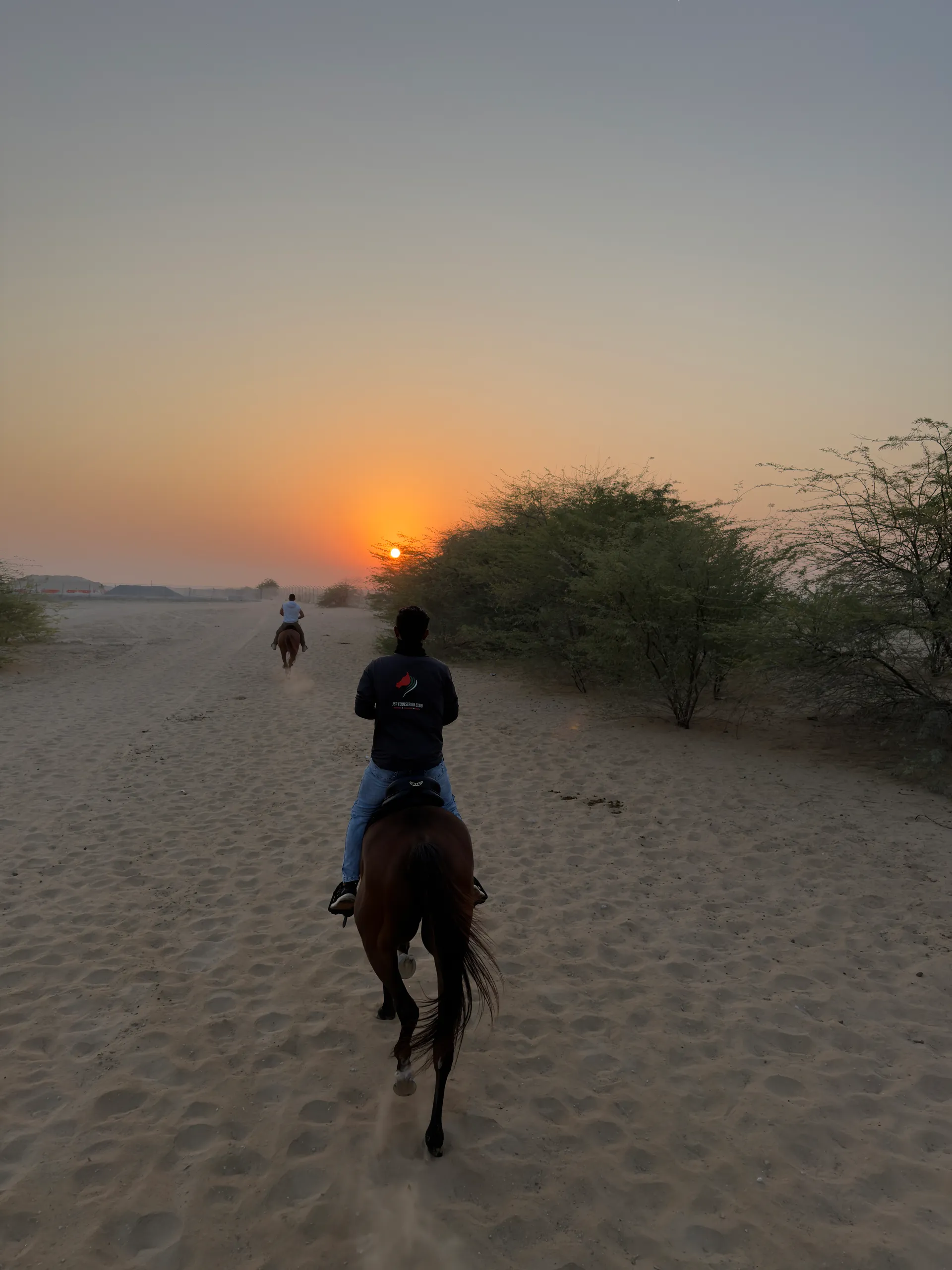 Desert ride at sunset