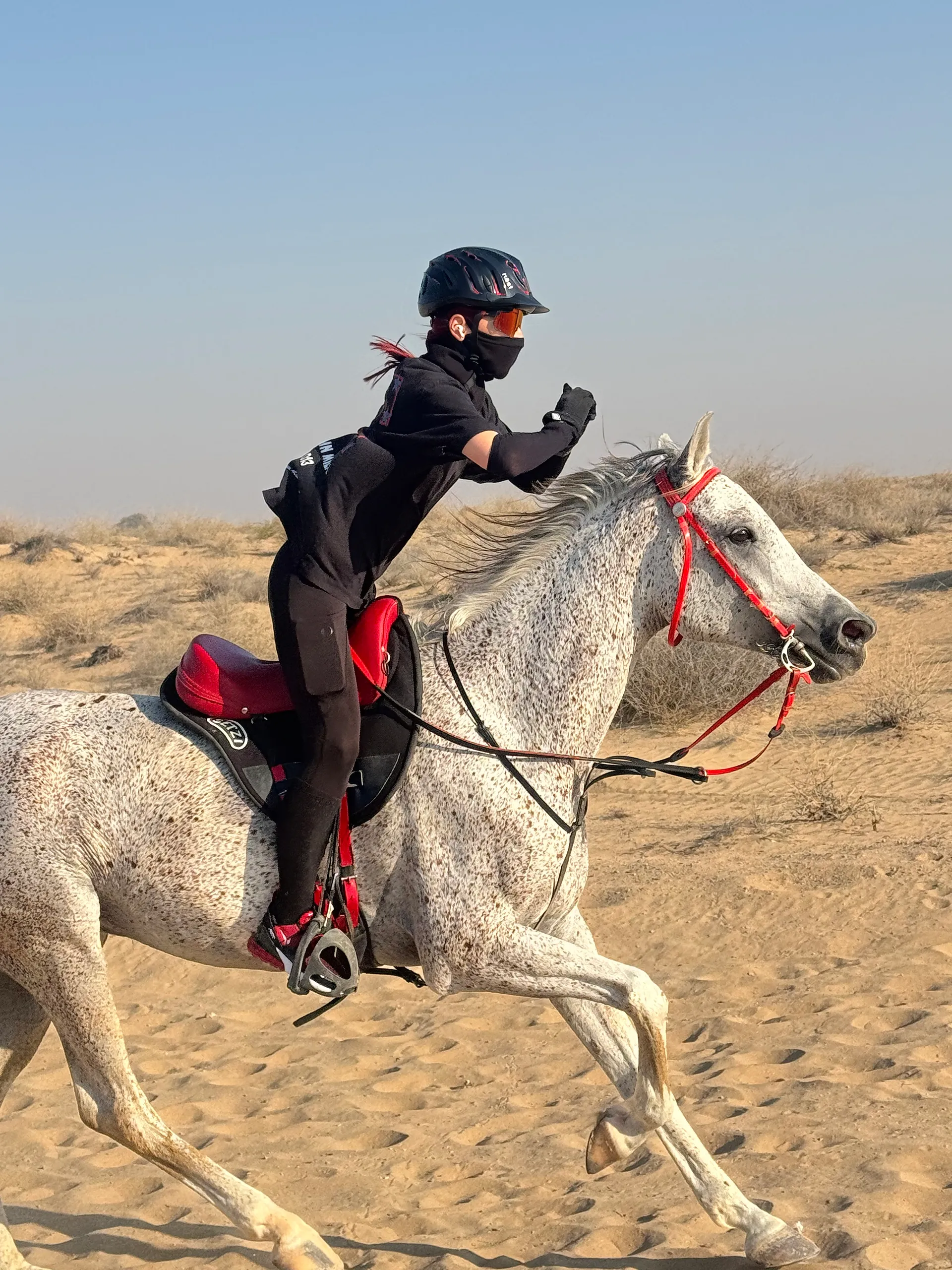 Galloping through the desert