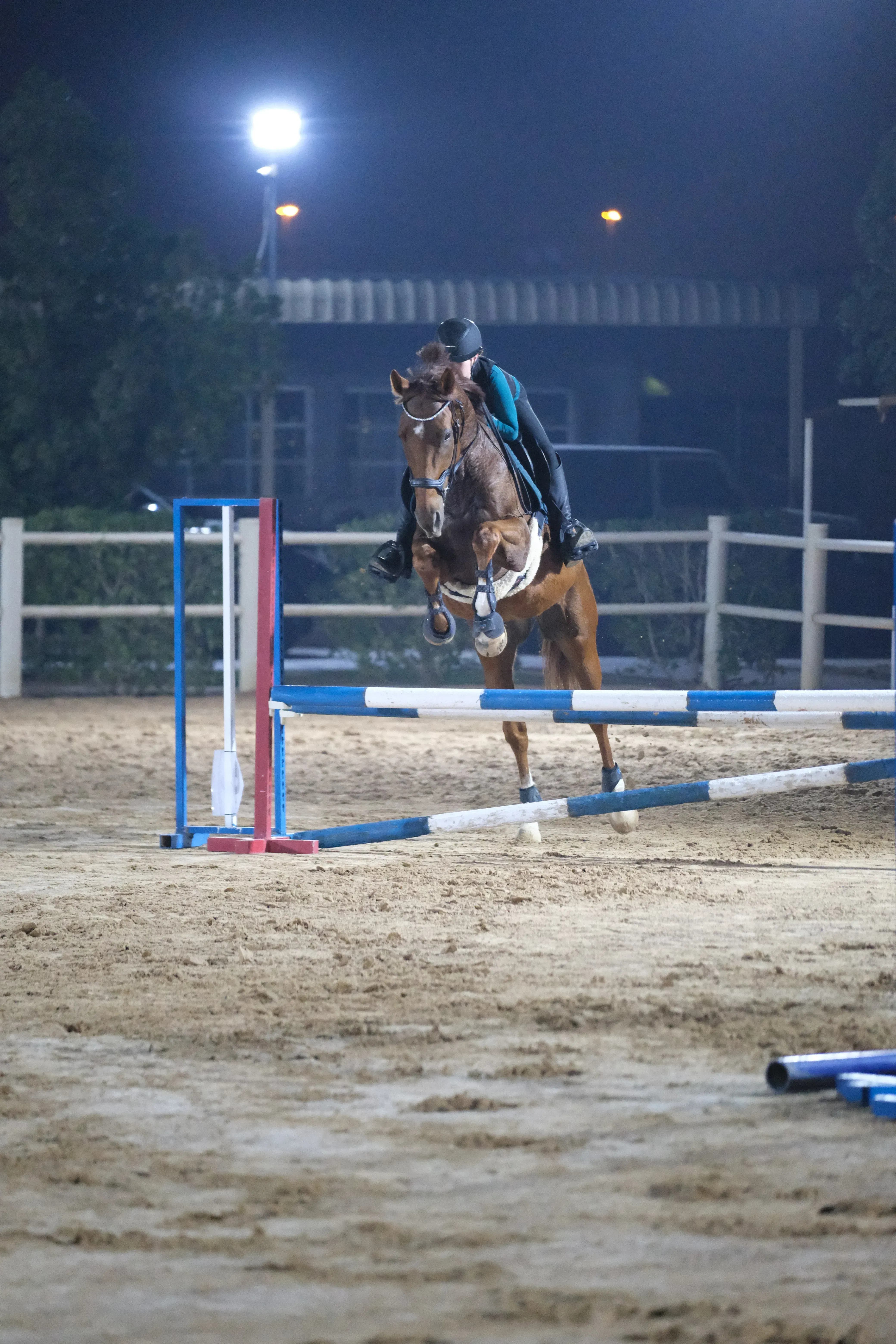 Rider and horse in the desert