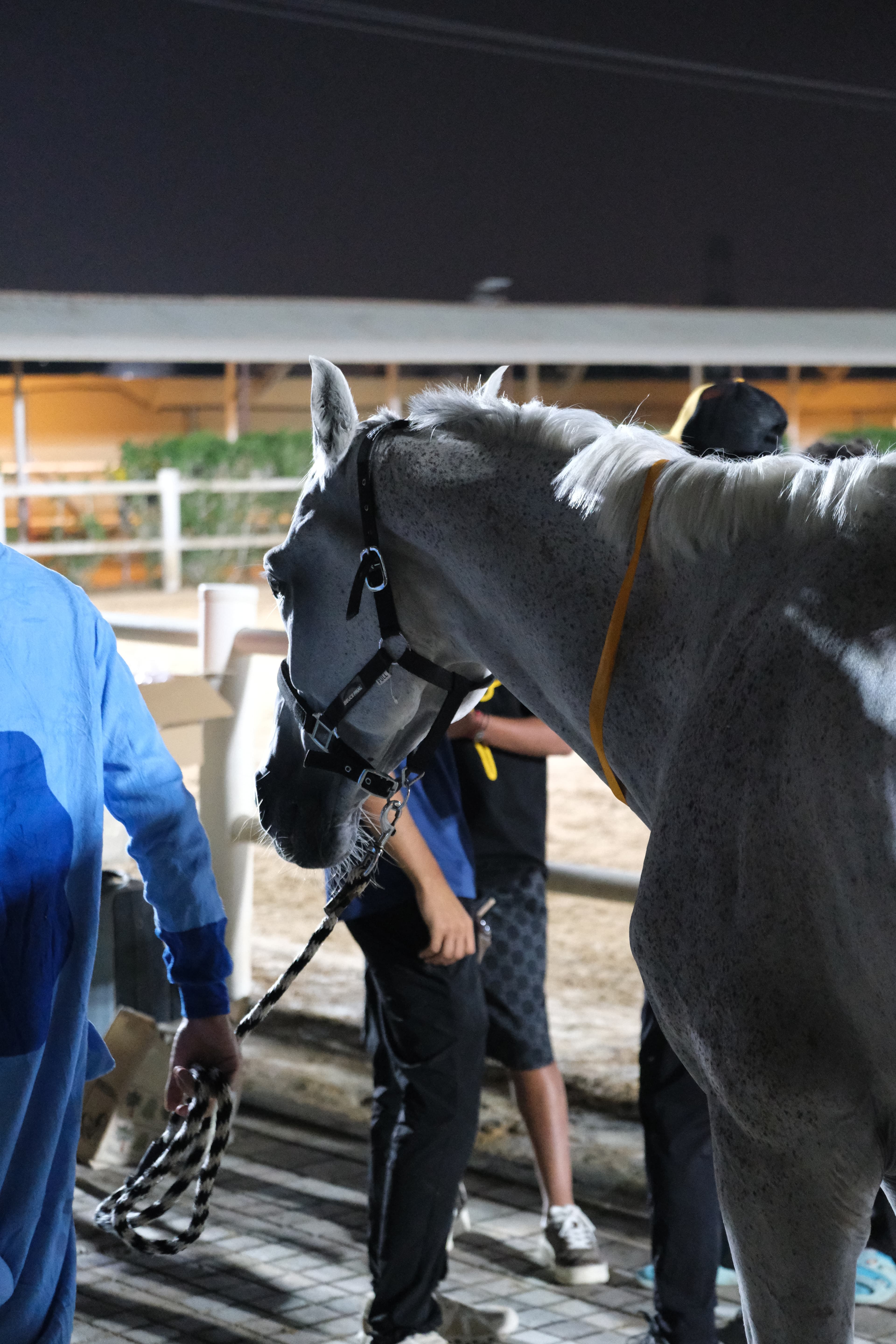 JSR stable and rider