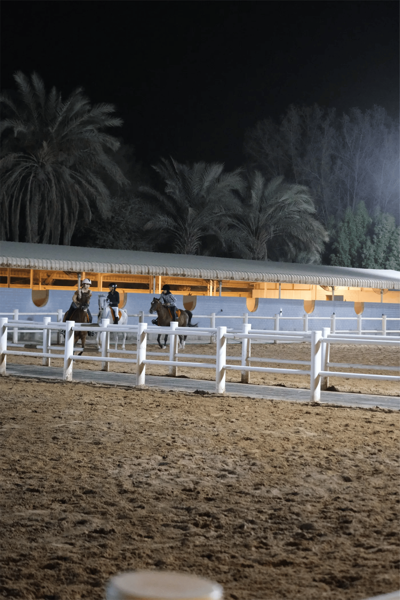 All-Weather Arena
