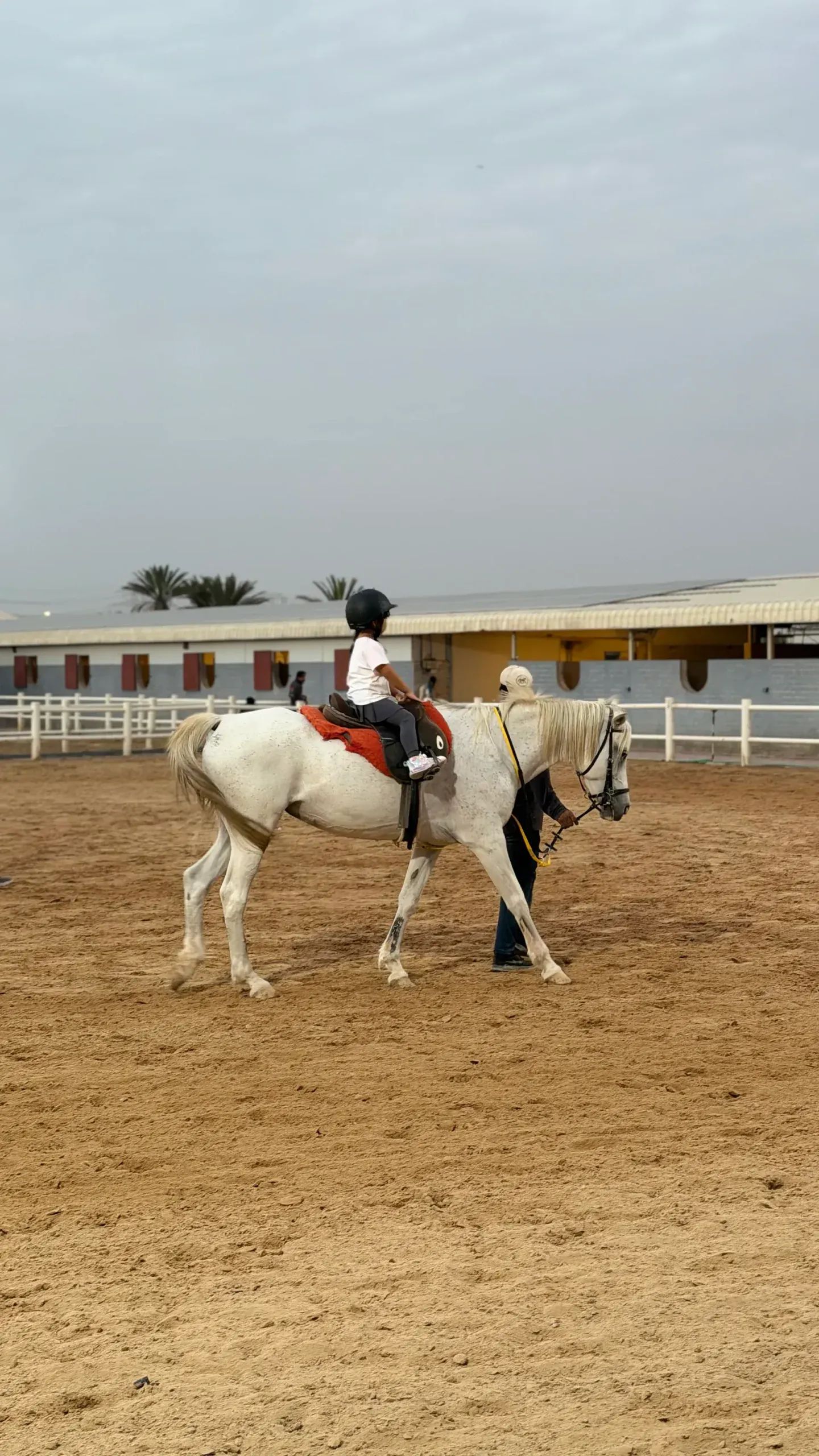 Evening arena ride