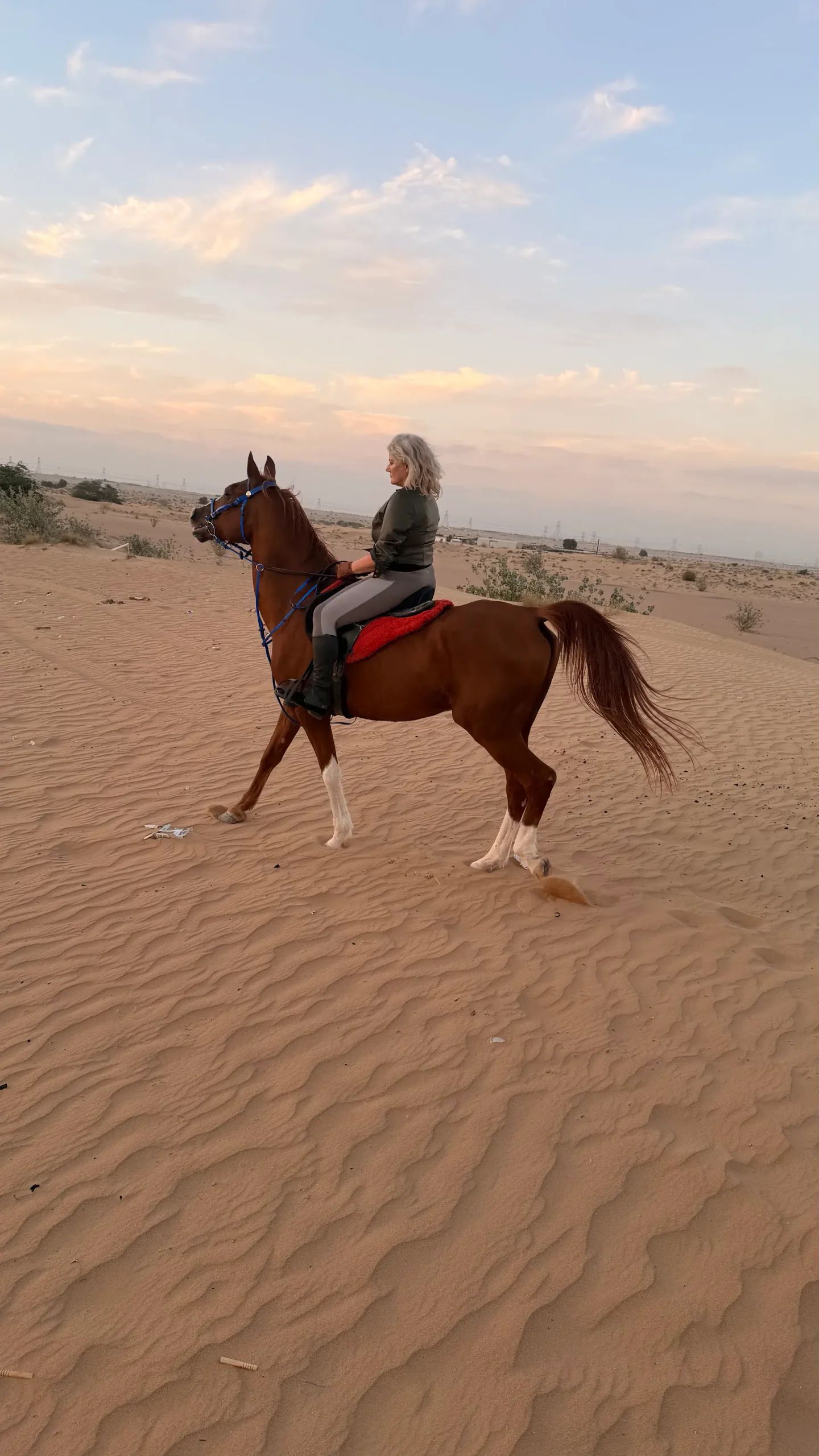 Desert Access