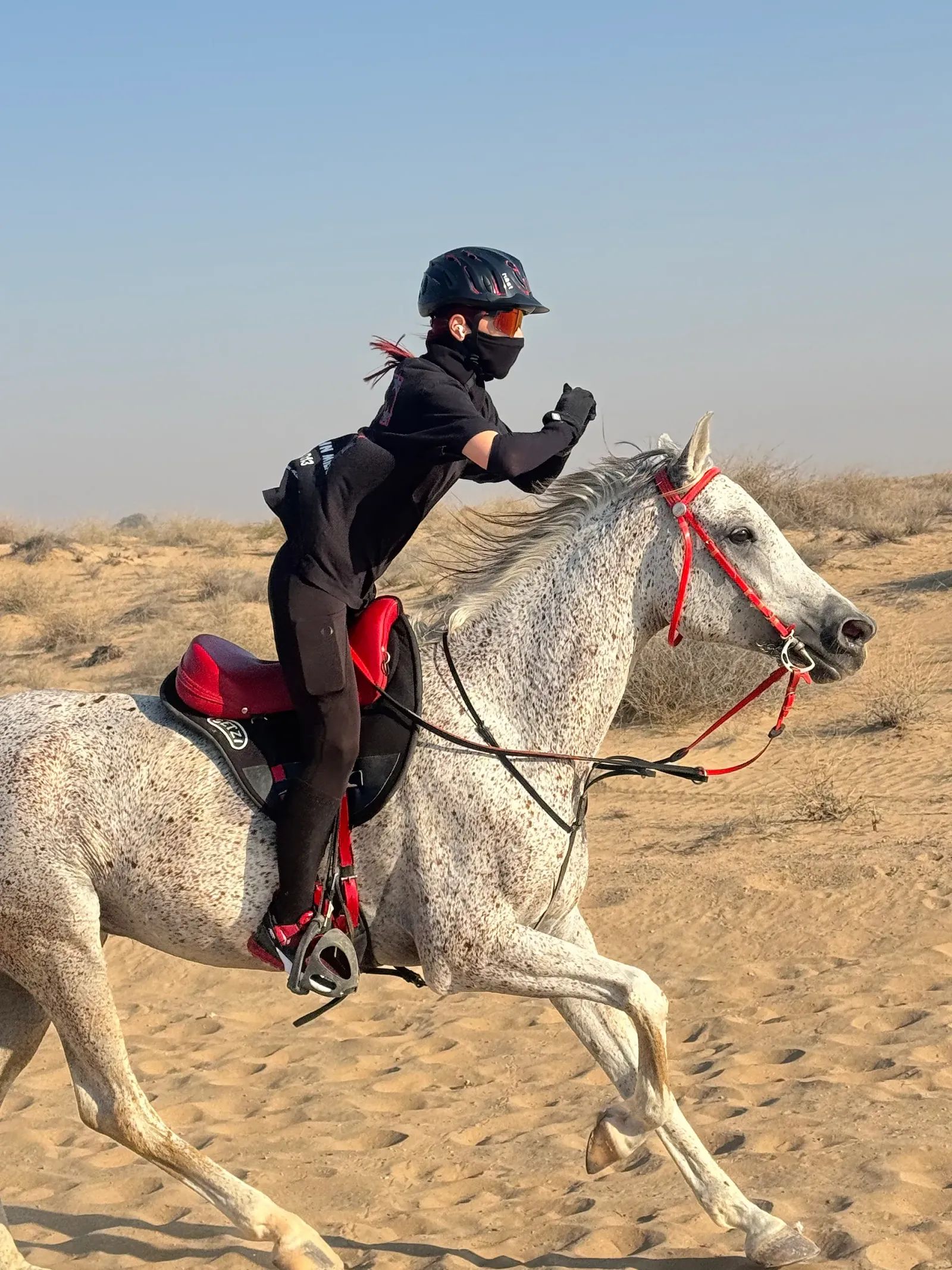 Galloping through the desert