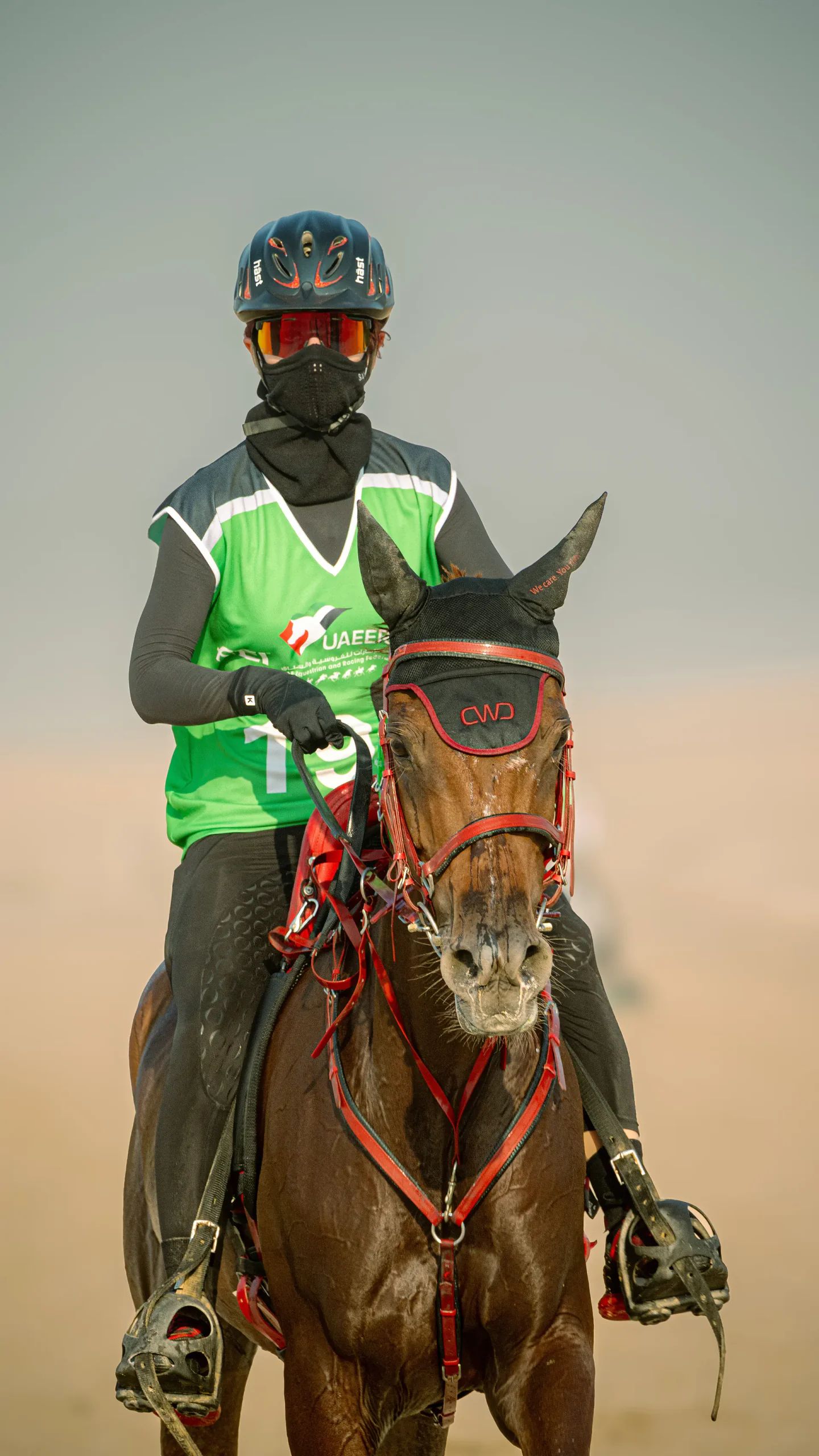 Endurance rider on horseback in the Al Marmoom desert