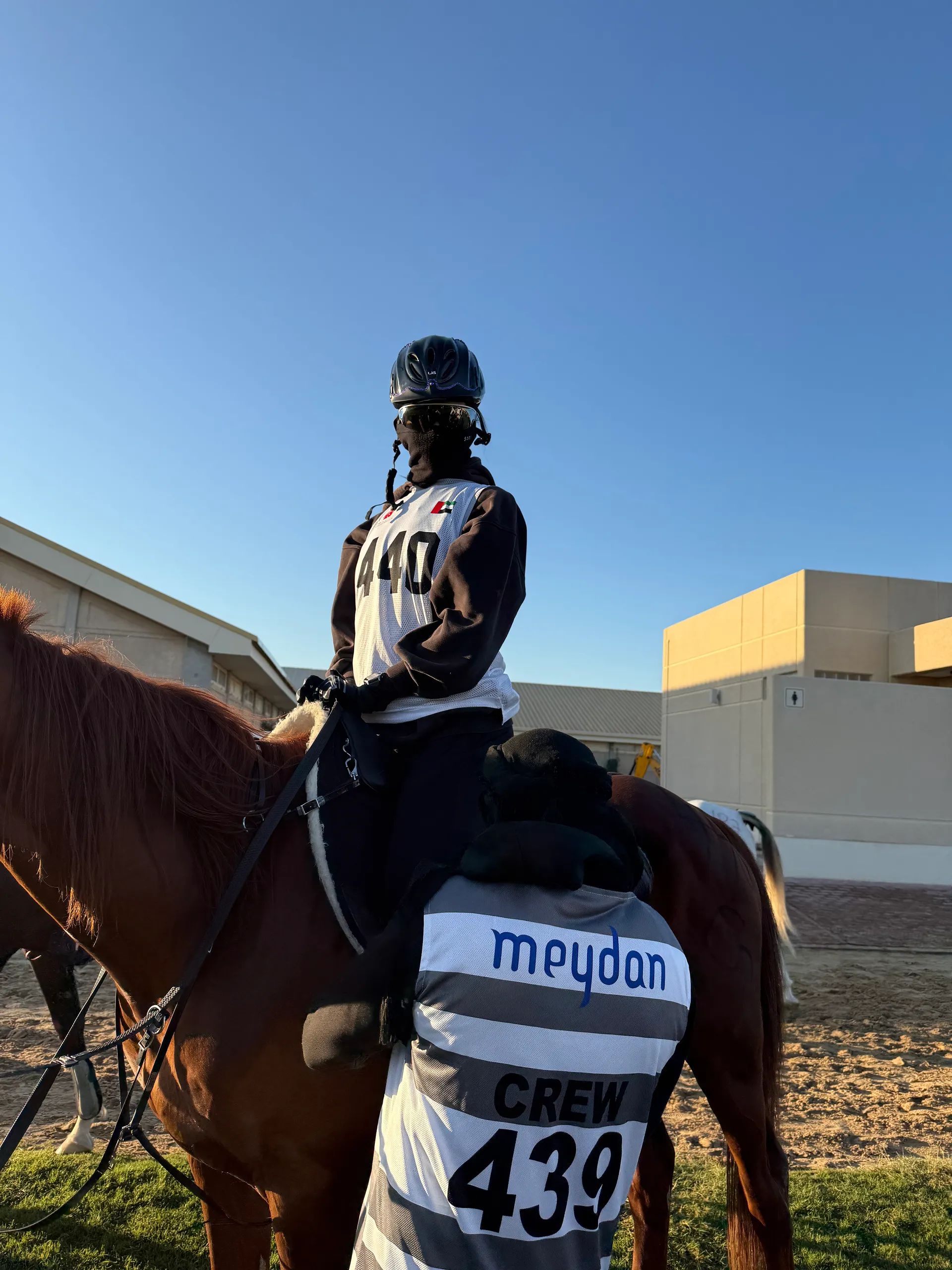 Endurance horse and rider at Meydan competition