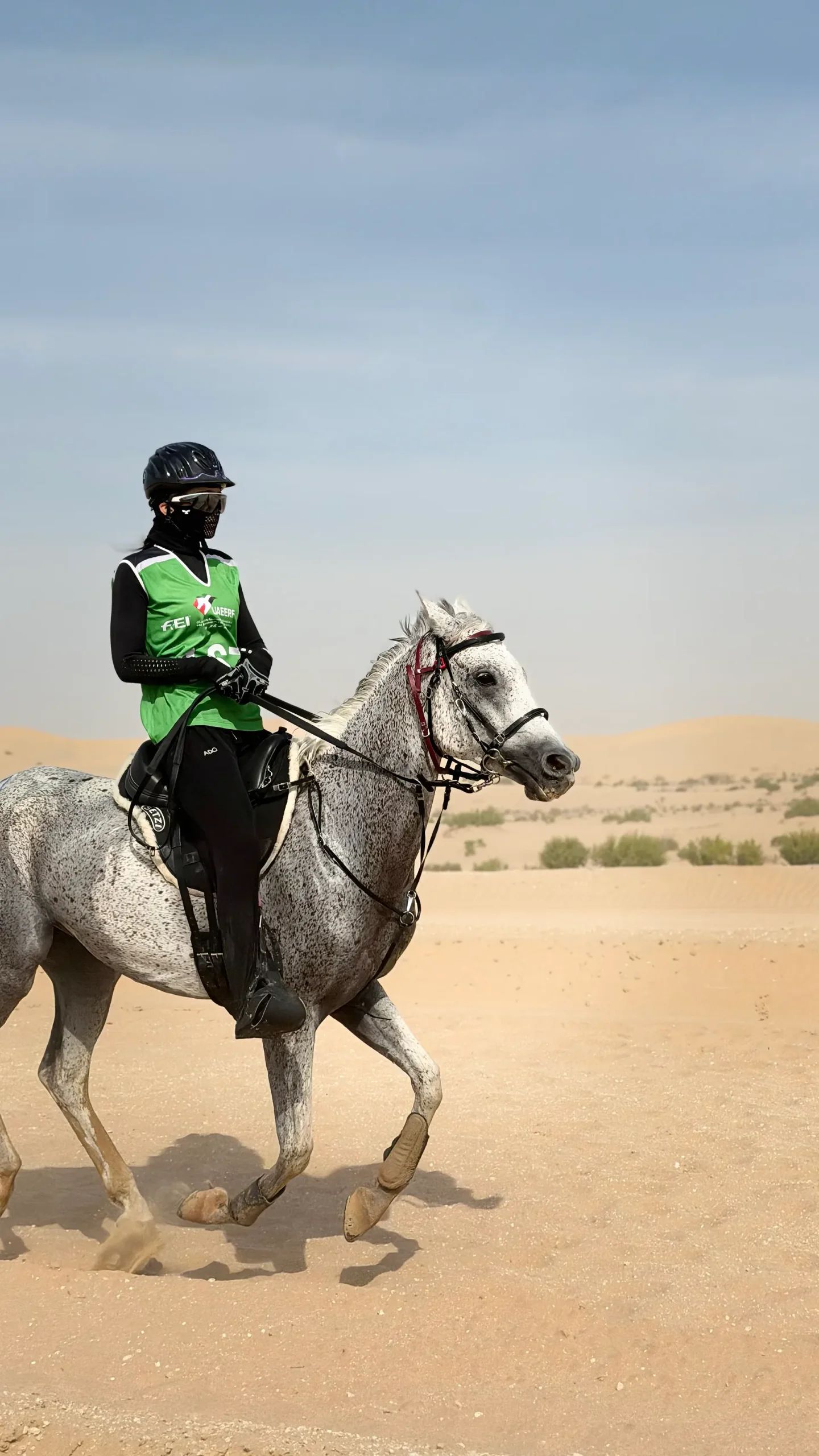 Endurance rider galloping through desert dunes