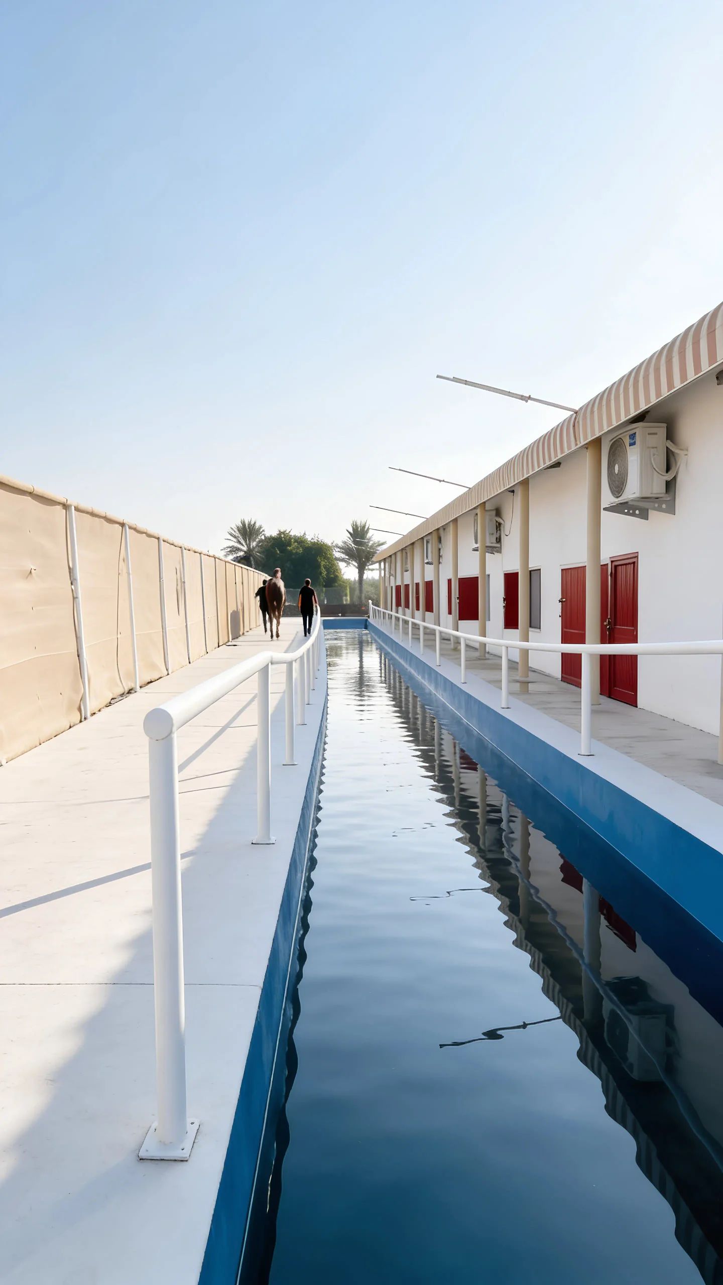 Equine Hydrotherapy Pool