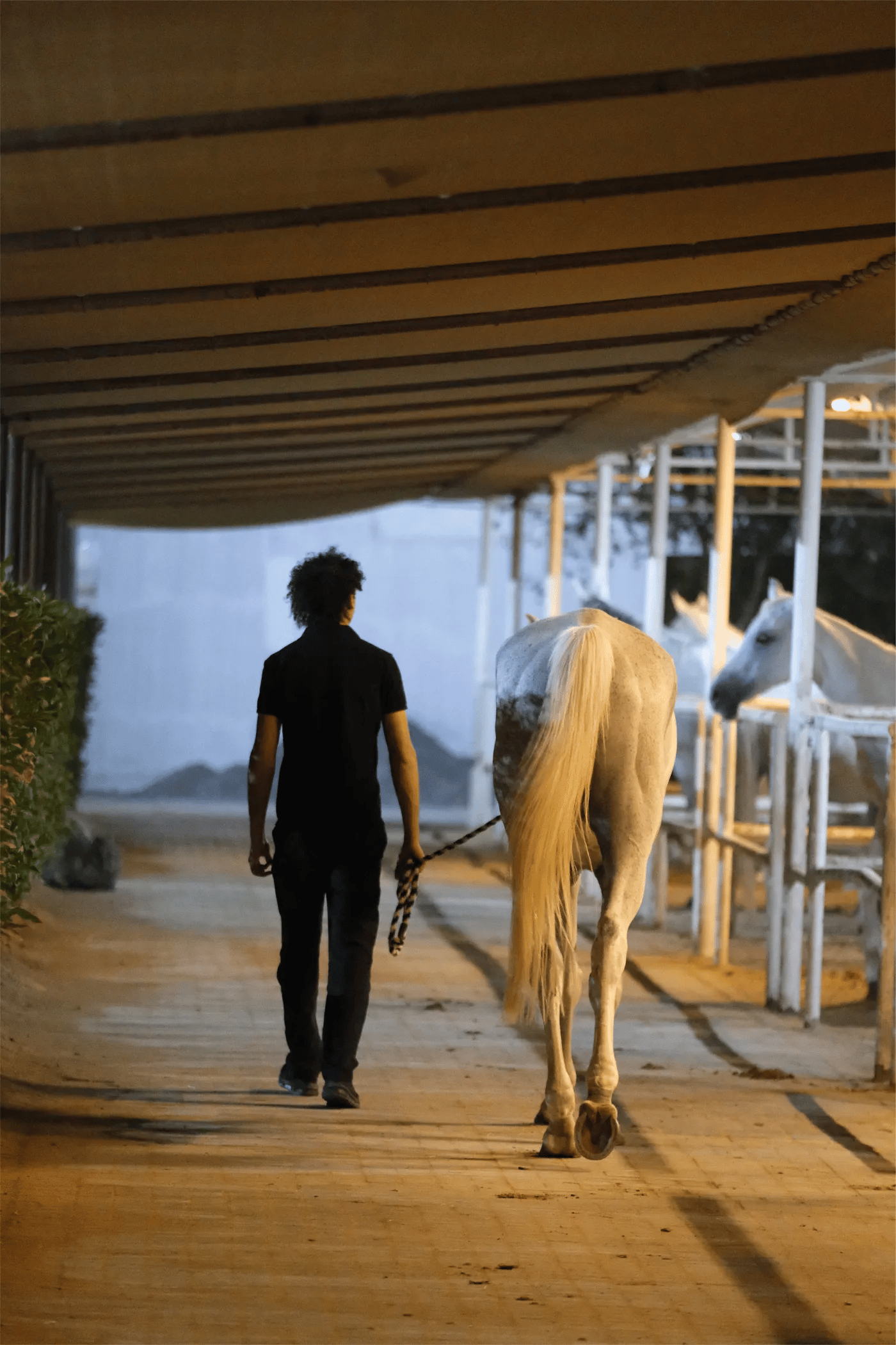 Stabling & Turnout
