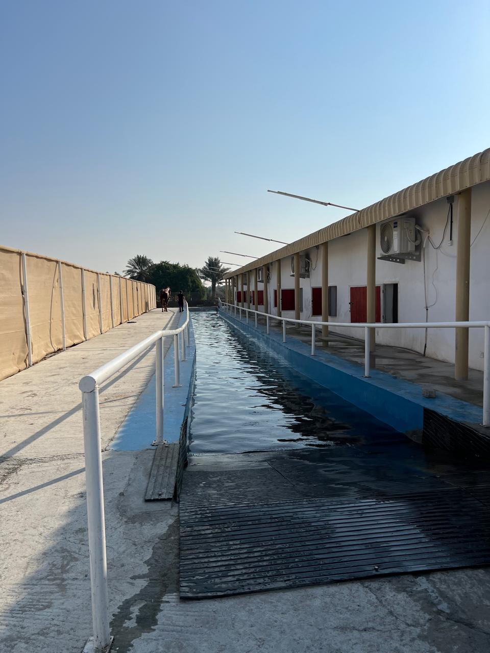 Equine Hydrotherapy Pool