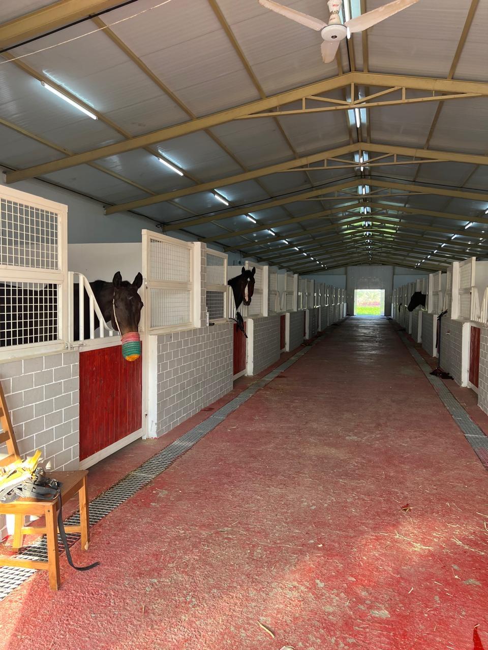 Stabling & Turnout